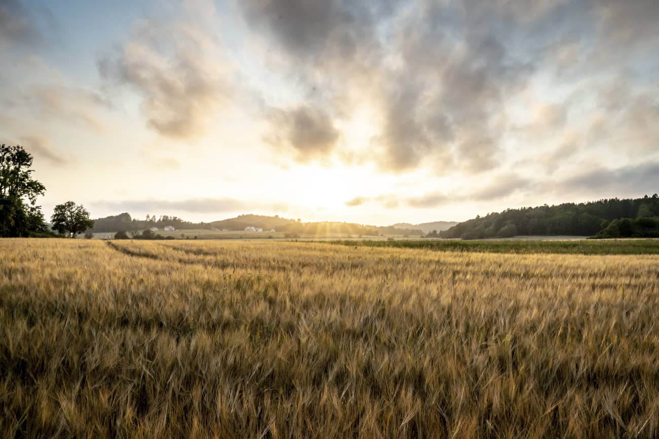 Tips på utflykter i Skåne