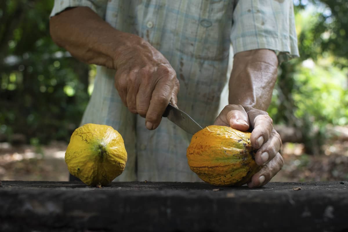 fem snabba tips om kokosvatten